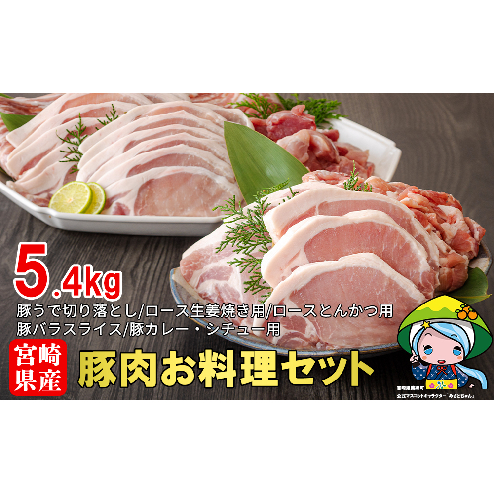 豚肉 小分け 切り落とし ロース 豚バラ スライス お料理セット 計5.4kg [甲斐精肉店 宮崎県 美郷町 31as0046] 肉 冷凍 宮崎県産 豚 送料無料 とんかつ 生姜焼き カレー シチュー ウデ 腕 切落し 詰め合わせ 真空包装 収納スペース うす切り 薄切り 調理 料理 おかず 丼 揚げ 煮込み 炒め物