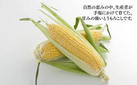 【先行予約】旭川近郊産　黄色いとうもろこし（ゴールドラッシュ）3.5kg（10本） 【 人気 北海道産 糖度 生 野菜 スイートコーン 産地直送 バーベキュー BBQ コーン 旬 お取り寄せ 旭川市 