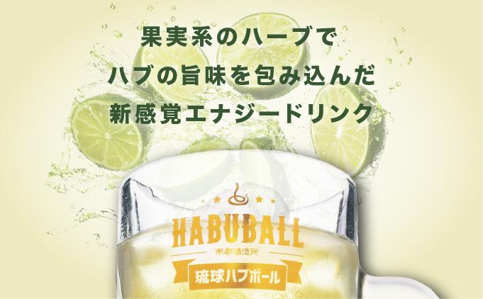 【6ヶ月定期便】琉球ハブボール350ml×24缶