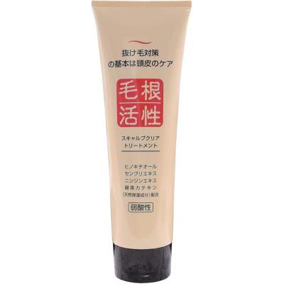 ふるさと納税 滑川市 スキャルプクリアシャンプー550ml×1本・トリートメント250g×1本セット