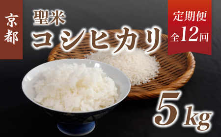 《12回 毎月お届け》【定期便】京都府産コシヒカリ「聖米」白米5kg 【 お米 米 白米 精米 こしひかり 国産 選べる 定期便 毎月発送 京都 綾部 】