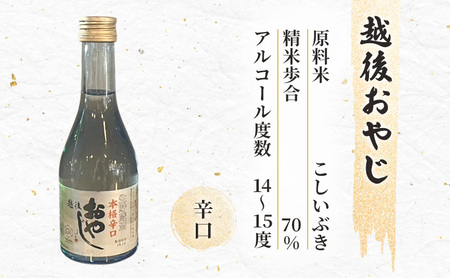 日本酒 新潟 上越の地酒 6銘柄×2本 日本酒セット ギフト 飲み比べ 地酒 上越 300ml×12本 父の日 国産 店長オススメ おすすめ 純米 吟醸
