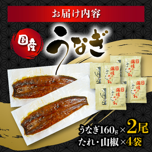 うなぎ 国産 蒲焼 160g ×2 計320g 鰻蒲焼 ウナギ JAS認定 活鰻 自家製蒲焼のたれ 山椒 丑の日 ギフト 贈答 冷凍 養殖 真空パック レンジ 調理 湯煎 まとめ買い 静岡県 藤枝(う