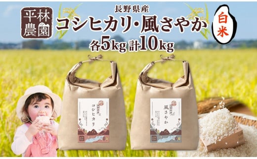 ＜先行予約＞令和7年産 コシヒカリ 風さやか 白米 各5kg 長野県産 米 精米 お米 ごはん ライス 甘み 農家直送 産直 信州 人気 ギフト お取り寄せ 平林農園 送料無料 長野県 大町市