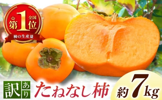 【なら育ち 益田農園】たねなし柿　訳アリ　約7kg（28玉～36玉） | フルーツ 果物 くだもの 柿 かき カキ 奈良県 五條市 大容量 たっぷり どっさり 種なし わけあり 訳あり 持続可能 渋抜き アルコール 炭酸 ガス アルコール脱渋 9月 10月 秋 旬 食物繊維 豊富 美容 健康 家庭用 自宅用 ご自宅用 農家直送 産地直送 益田農園 お取り寄せ グルメ 送料無料