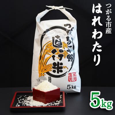ふるさと納税 つがる市 つがる市産「はれわたり」5kg 2025年産 [0941]