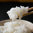 【ふるさと納税】くまさんの輝き　匠の米玄米10kg