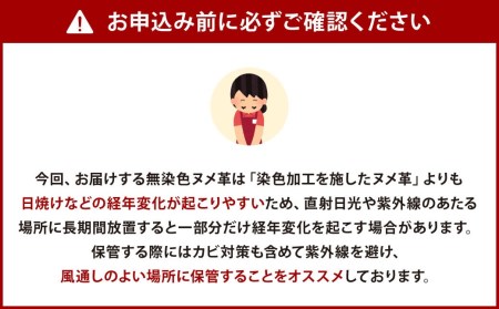 【牛革】 定規を分けて収納できる C字ZIP ペンケース (ワイド) レザー ヌメ革