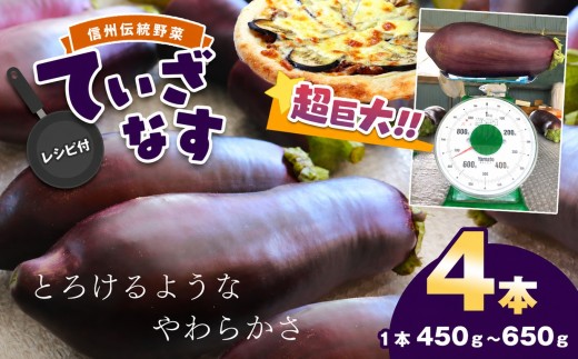 【先行予約】令和8年8月上旬発送予定 信州伝統野菜 天龍村産ていざなす4本セット（１本450g～650g）☆レシピ付き☆ | 食品 野菜 なす 茄子 ていざなす サラダ ピクルス 天龍村産 信州伝統野菜 長野県 南信州 天龍村