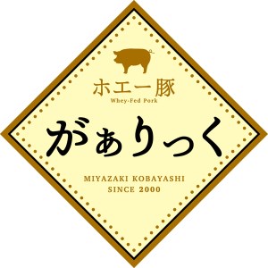 【でっかい肉にかぶりつこう！】人気部位盛り合わせBBQ食べ比べセット　約2.0㎏