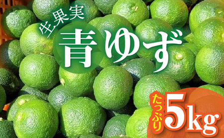 訳あり 青ゆず 生果実 たっぷり5㎏　MM0206