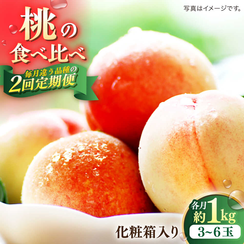 【ふるさと納税】【2026年6月〜発送】【2回定期便】南島原の桃を食べ比べ 化粧箱入り 計2kg 日川白鳳 夢富士 あかつき なつっこ / 桃 もも ハウス桃 フルーツ 果物 / 南島原市 / ふくはちファーム[SBS001]