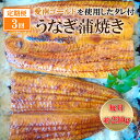 【ふるさと納税】 定期便 3回 四万十うなぎ 230g×3回 愛南ゴールド 入り うなぎのたれ セット うなぎ 蒲焼 ひつまぶし 国産 鰻 土用の丑の日 タレ ごはん ギフト 贈答用 山椒 四万十 愛南 愛媛