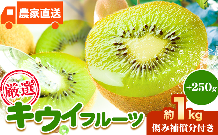 先行予約 厳選 キウイ フルーツ 約1kg ＋250g (傷み補償分) 池田鹿蔵農園@日高町（池田農園株式会社）《11月中旬～2027年4月下旬出荷》和歌山県 日高町 キウイ キウイフルーツ 果物 フルーツ きうい 【配送不可地域あり】