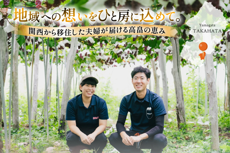 【期間限定発送】 ぶどう デラウェア 5～8房 約 1kg [いわた果樹園 山形県 高畠町 tk06ayt400003]