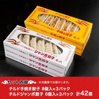 ふるさと納税 南魚沼市 新潟県 南魚沼市 チルド手焼き餃子・ジャンボ餃子 食べ比べ セット 計42個 ケンちゃん餃子 |  | 03