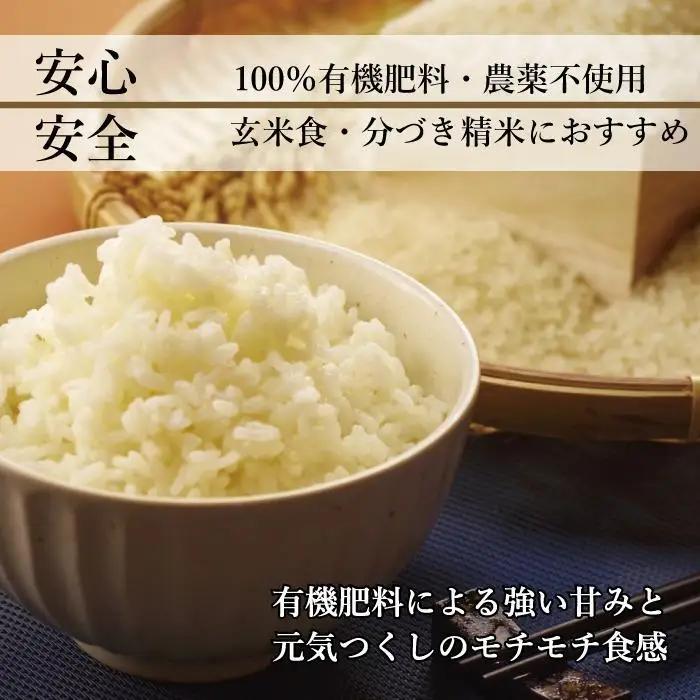 【令和8年度新米】先行予約受付 数量限定 玄米(特別栽培農産物)元気つくし 2kg×5袋 (計10kg)