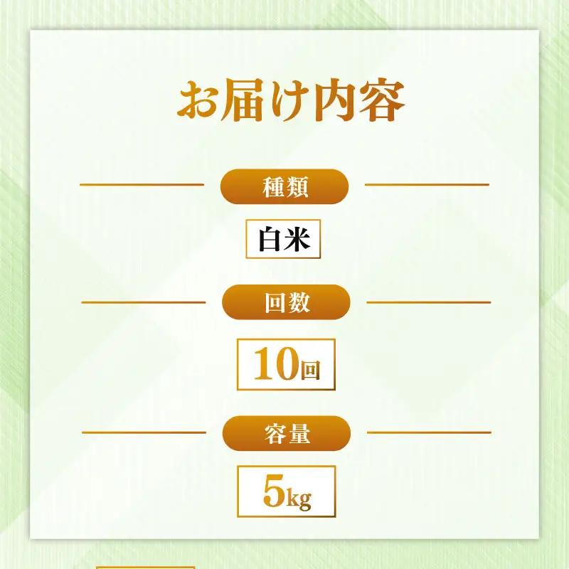 定期便 ヒノヒカリ 白米 5kg×10回