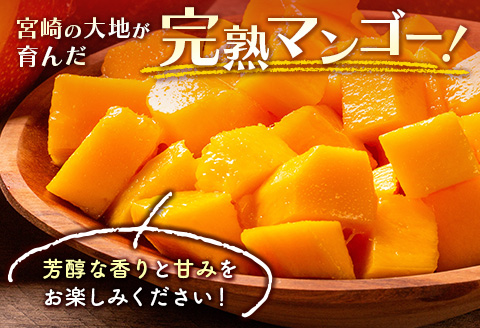 宮崎特産品　「訳あり」宮崎県産完熟マンゴー1.5kg（3玉～5玉）