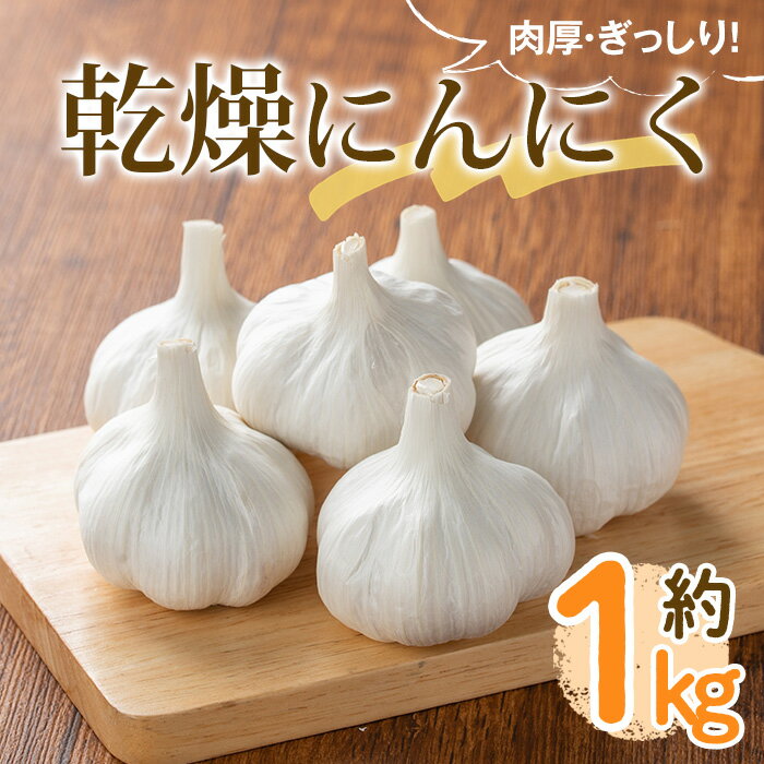 【ふるさと納税】＜先行予約！2026年6月中旬以降順次発送予定＞乾燥にんにく(約1kg) 国産 野菜 生にんにく ニンニク 乾燥ニンニク 大蒜 薬味 産地直送 新登場 【man232】【Aglio nero】