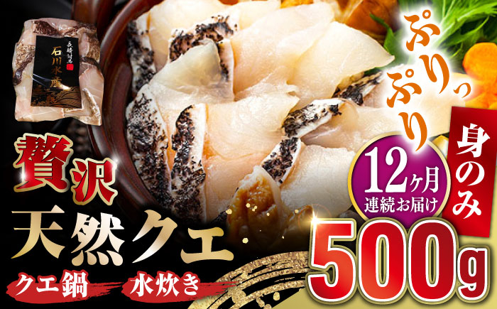 
            【全12回定期便】【 対馬産 】 天然 クエ 500g （身のみ）《対馬市》【石川水産】 鍋 水炊き 鮮度抜群 海鮮 [WAB020]
          