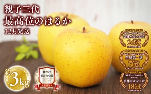 
                  ≪12月発送　有名店取扱りんご≫ 親子三代最高位のはるか 約3kg 【全国ふじコンテスト最高賞受賞農園 青森県 平川市 釈迦のりんご園】全国ふじコンテスト最高賞受賞 青森りんご 平川市広船産 家庭用 リンゴ りんご リンゴ 林檎 フルーツ 果物 はるか　有名店　取扱 平川市 青森
                