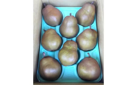 西洋梨（ゴールドラ・フランス）３ｋｇ　0017-2623