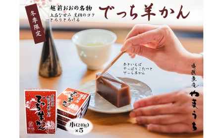 【先行予約】老舗和菓子店　福井県大野市冬の名物 でっち羊かん 小サイズ（約240g）× 5箱【11月より順次発送】