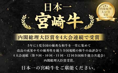 ＜宮崎牛ロースステーキ400g(200g×2枚)＞翌月末迄に順次出荷【c1073_nh_x1】 黒毛和牛 宮崎牛 牛 ロース ステーキ 冷凍