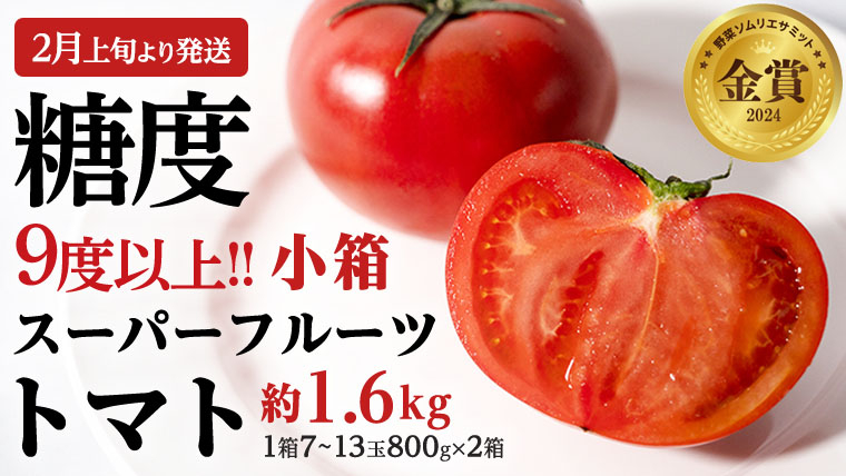 《 2027年 収穫分 》4～5月配送 スーパーフルーツトマト 小箱 約800g × 2箱  (7～13玉/1箱) 糖度9度以上 先行予約 茨城県 桜川市 KEK 国産 トマト フルーツトマト ブラン