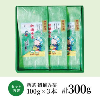 ふるさと納税 南さつま市 【新茶】西馬場製茶 初摘み茶3本セット <2025年新茶:5月出荷開始> |  | 01