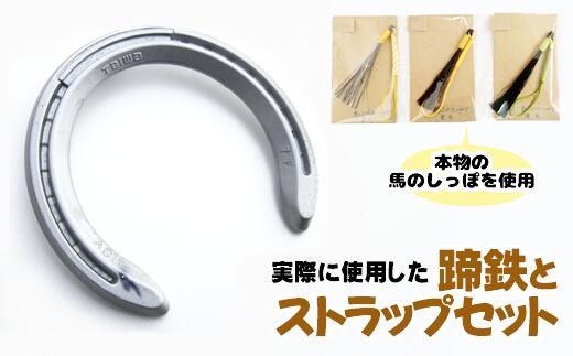 【ふるさと納税】 おすすめ 蹄鉄 ( アルミ シルバー ) × 馬のしっぽの毛 ストラップ (鹿毛) 馬蹄 馬 しっぽ 尾 本物 蹄 アクセサリー インテリア 日用品 置物 雑貨 幸運 厄除 お守り ラッキーアイテム 開運 うま ウマ グッズ 岩手県 滝沢市 送料無料 馬っこパーク・いわて
