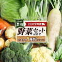 【ふるさと納税】『定期便』全6回 野菜セット 詰め合わせ まるみど農園の季節のお野菜便 毎月 9種類 旬 農家直送 国産 送料無料