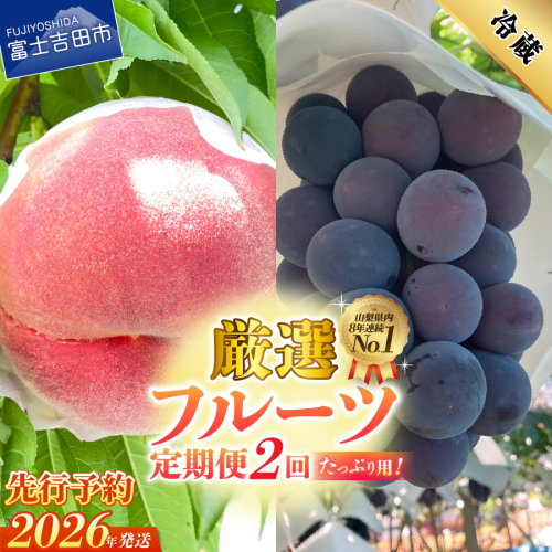 【2026年発送 先行予約】【2回定期便】厳選 旬のフルーツ定期便（桃2kg・黒ぶどう1kg以上）