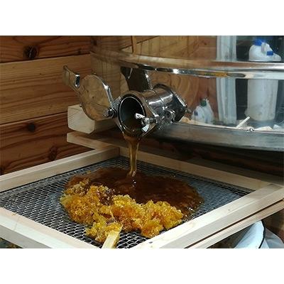 ふるさと納税 阿波市 【阿波産】”天然”影山のはちみつ　600g |  | 03