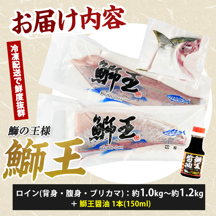 【冷凍】【10月以降順次発送】【切って盛るだけ】『旅サラダ』で紹介ぶりの王様「 鰤王 」 ロイン 2節 (約1.0kg～)【鰤王しょう油付】 半身 産地直送 新鮮 旨味が抜群の 長島町 特産品 ブランド ぶり 鰤 ブリ 切り身 真空 刺身 ぶりしゃぶ しゃぶしゃぶ 魚 魚介 人気 ランキング 【JFA】_jfa-1678B