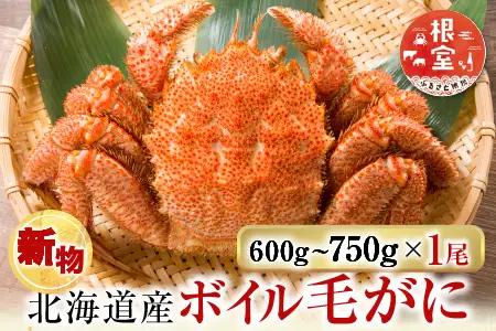 根室海鮮市場＜直送＞ボイル毛がに600～750g×1尾(堅蟹) B-28124