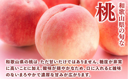 旬の桃 (特秀品) 約2kg 6～9個入 ｜ 桃