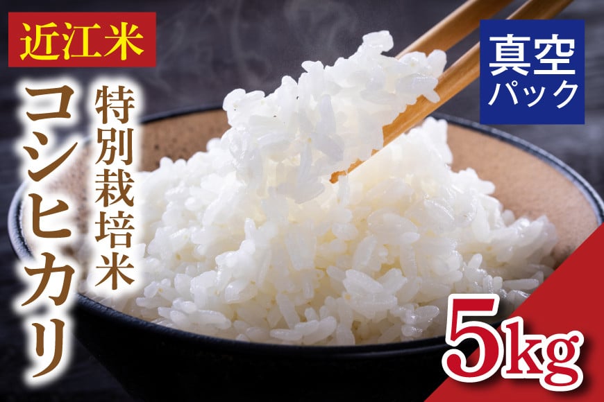 
            令和8年度産 先行予約  近江米『コシヒカリ』　特別栽培米　5キロ（真空梱包）
          