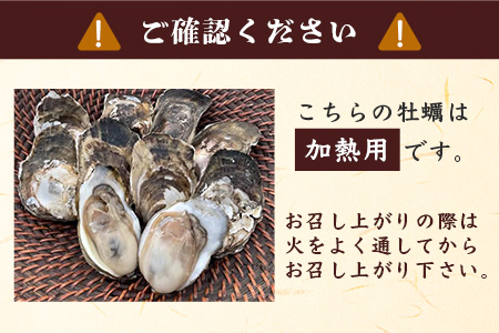 【期間限定】【牡蠣】【有明海】かしまん牡蠣(養殖）殻付き　3kg　かき　佐賀県　鹿島市　有明海　C-114