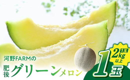 143-2　河野FARM 肥後グリーンメロン１玉