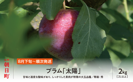 ＜先行予約＞プラム 太陽 2kg 大玉 2L以上 秀品 化粧詰め 【2026年8月下旬～9月上旬発送】山形県 朝日町産 山形産 すもも スモモ フルーツ 果物 夏