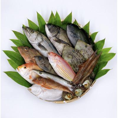 ふるさと納税 宮津市 京都府宮津市産　山一水産　鮮魚セット　約4〜5kg