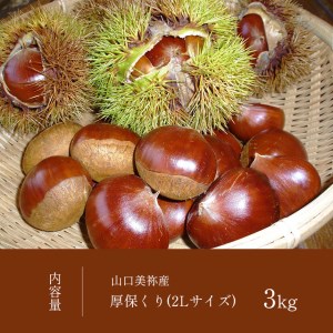 【先行予約】厚保くり ( 生栗 ) 3kg 山口美祢産 ｜  山口 美祢 栗 くり 厚保 大きい 甘い 特産品 焼き栗 栗ご飯 生栗 期間限定 季節限定 先行予約 3kg