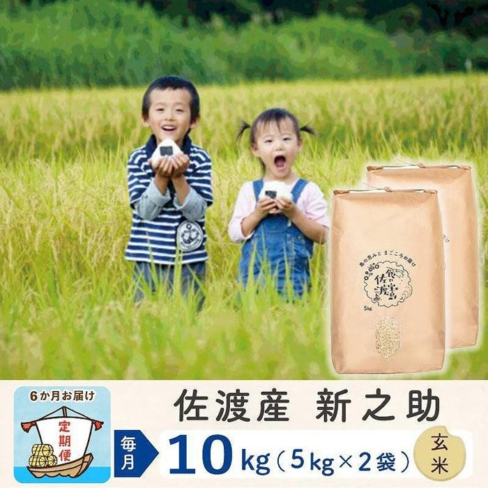 【令和8年産新米 6ヶ月】佐渡島産 新之助 玄米 10kg195962-5344