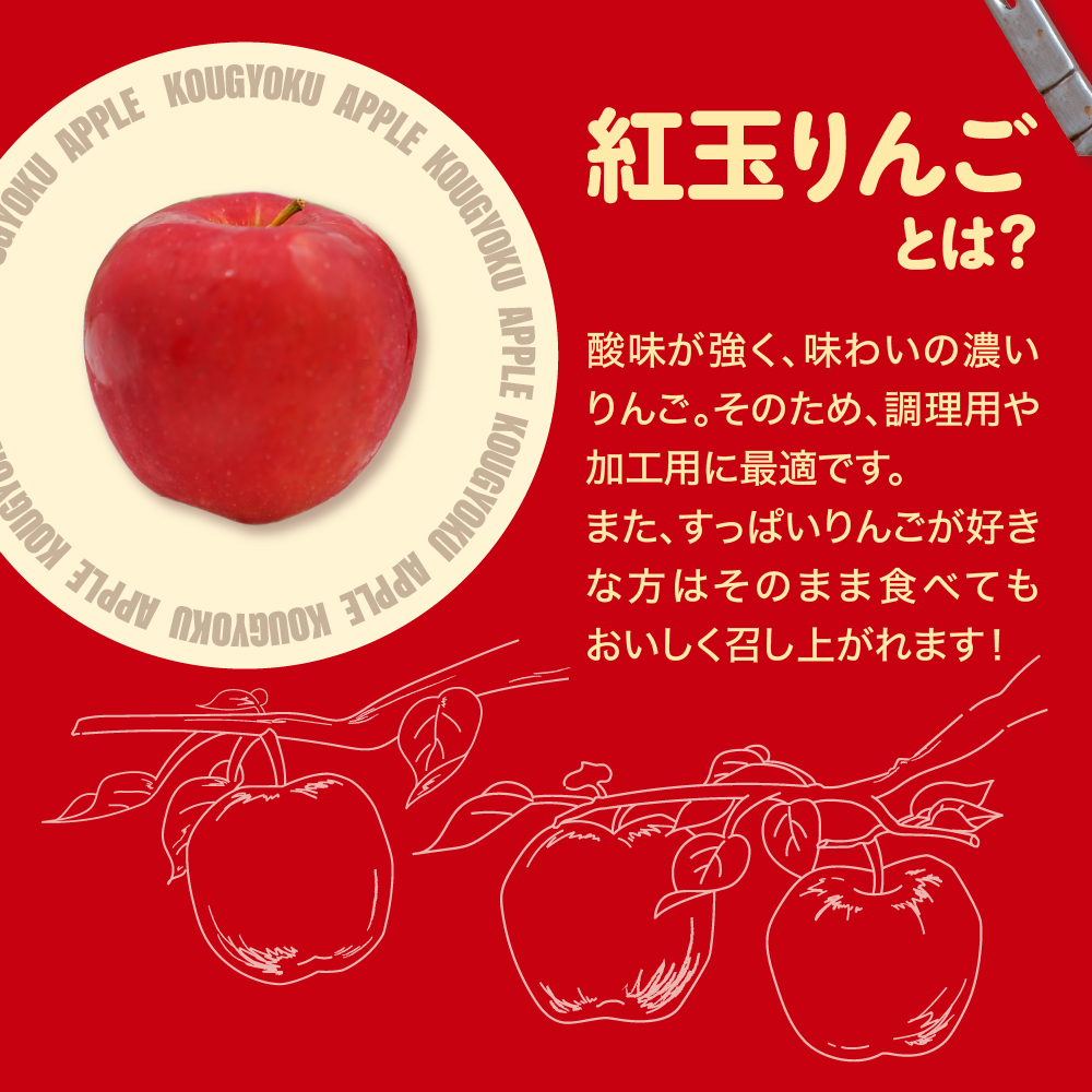 【訳あり】 りんご 3kg 程度 「紅玉」 青森県産
