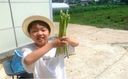 【8月発送分】千姫アスパラガス 丁寧にすべてを手作業で丹精を込めて作りあげた 自信のアスパラガス ※2026年8月～発送