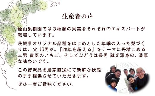 【先行予約 2026年】シャインマスカット2房と旬の梨詰め合わせ 計約3kg | 茨城県 常陸太田市 桧山果樹園 梨 なし ぶどう ブドウ シャインマスカット フルーツ 高級 産地直送 限定品 贈り物 新鮮 お取り寄せ デザート ギフト 風味豊か 香り 上品 希少価値 珍しい 地域 甘い 限定 果物 果樹