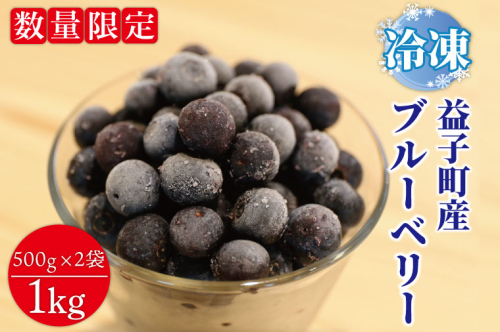 AA020-1　【数量限定】益子町産　冷凍ブルーベリー1kg　フルーツ　果物