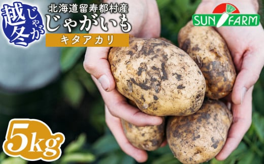 越冬じゃがいも キタアカリ 5kg いも おいも 芋 イモ ジャガイモ ポテト きたあかり オンライン 申請 ふるさと納税 北海道 留寿都 野菜 根菜 ホクホク 産地直送 新鮮 採れたて ポテトサラダ コロッケ スープ 5キロ 留寿都村【24020】